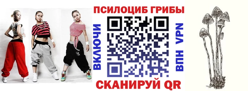 Галлюциногенные грибы Magic Shrooms  нарко площадка официальный сайт  Керчь  сколько стоит 
